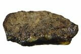 3.5" Rough Blue Indonesian Amber - West Java, Indonesia - #131312-1